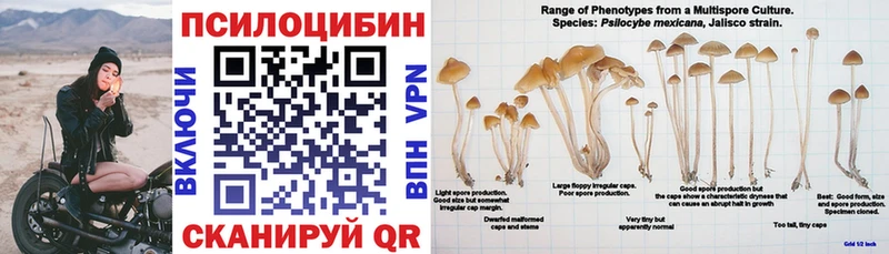 kraken   Демидов  Галлюциногенные грибы Psilocybe 